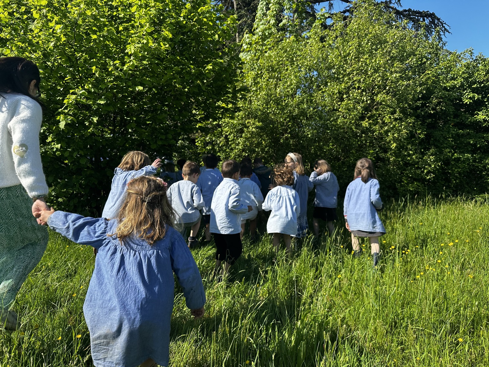 Enfants en blouses traversant une prairie herbeuse vers un sous-bois