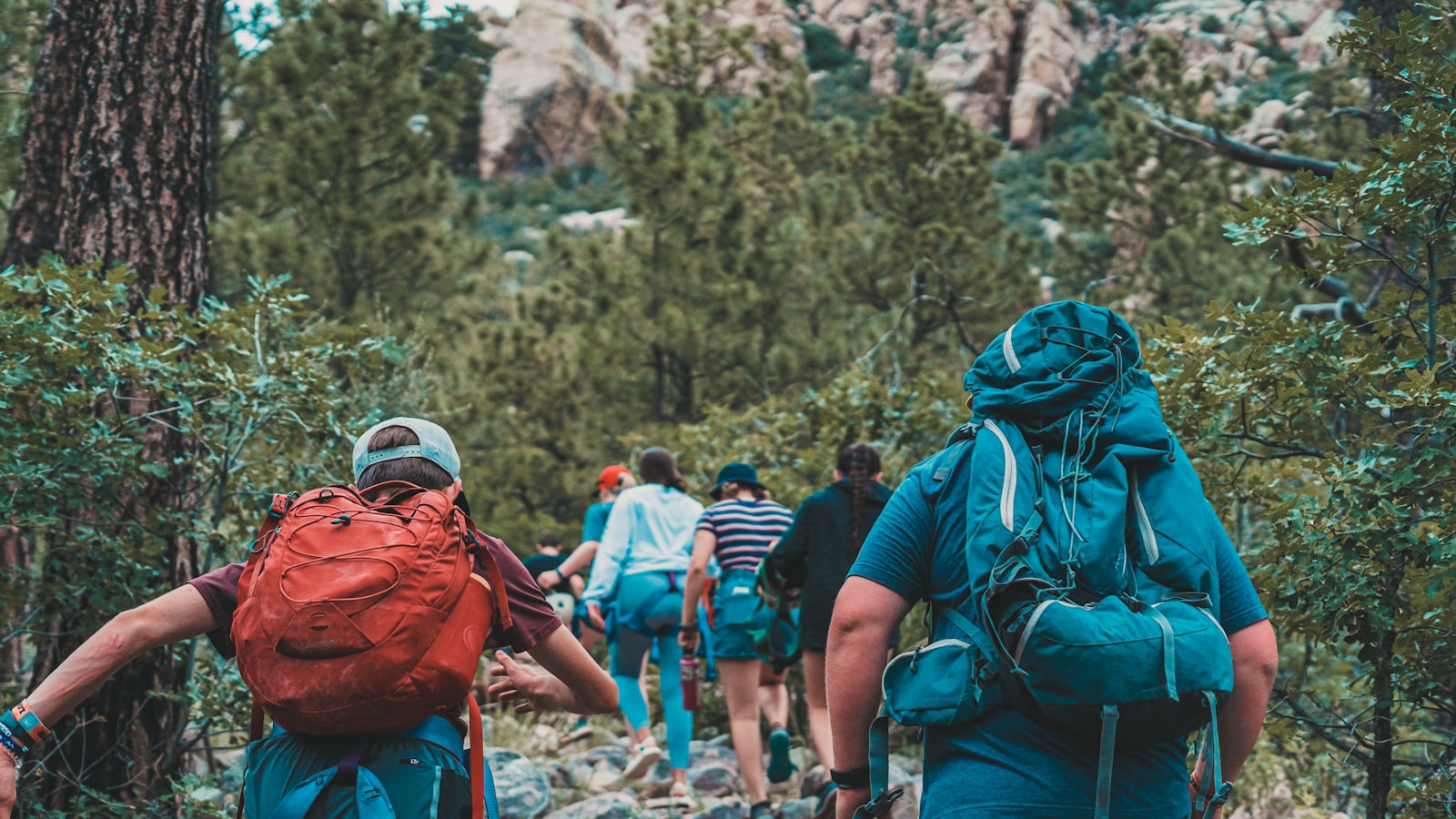 Groupe de jeunes randonnant en forêt