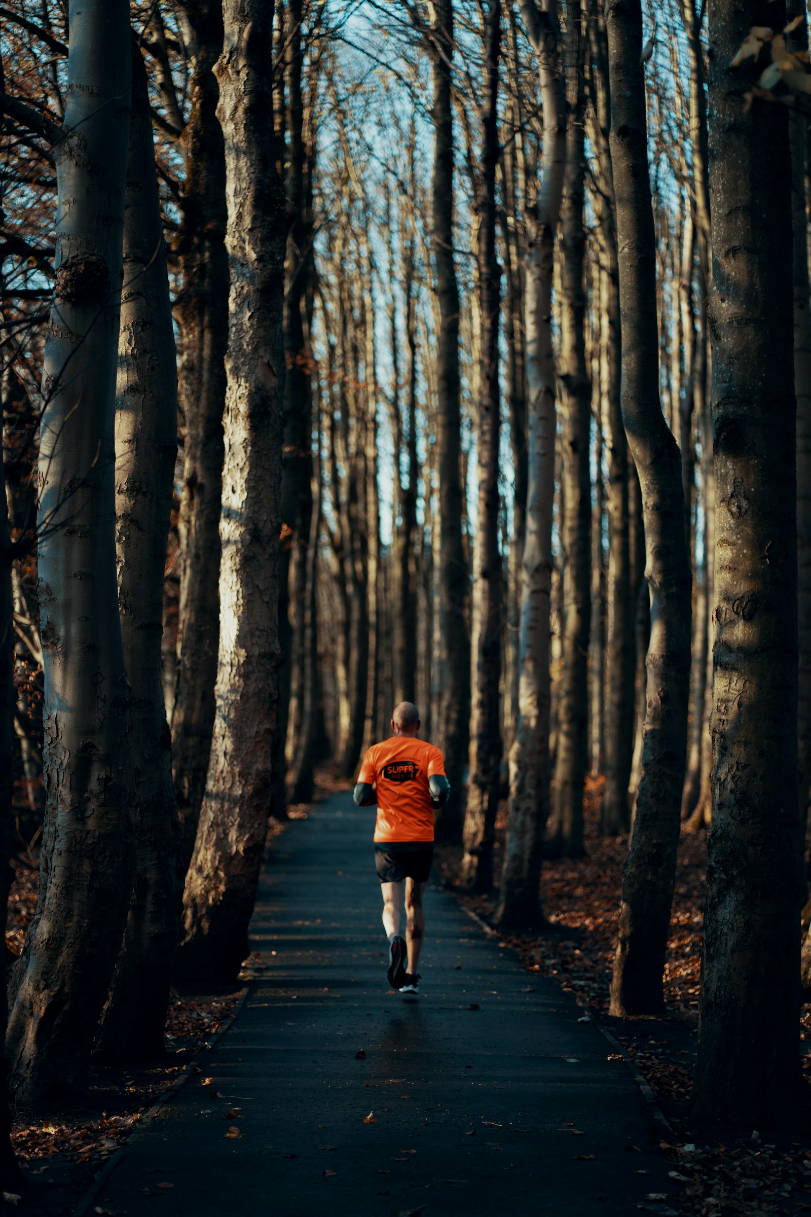 Coureur sur un chemin forestier